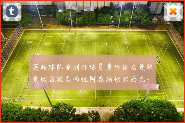 英超球队非洲杯球员身价排名曼联曼城占据前两位阿森纳切尔西无一参赛