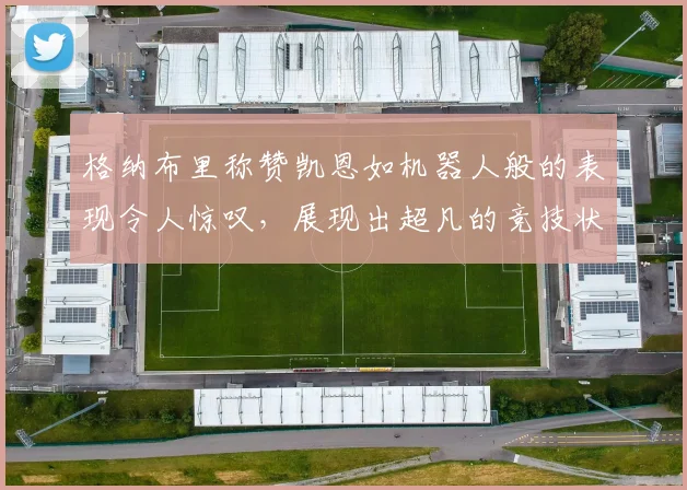 格纳布里称赞凯恩如机器人般的表现令人惊叹，展现出超凡的竞技状态