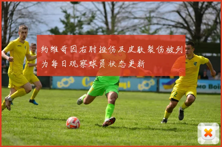 约维奇因右肘挫伤及皮肤裂伤被列为每日观察球员状态更新